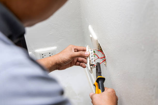 Best Electric Panel Repair  in Dunthpe, OR